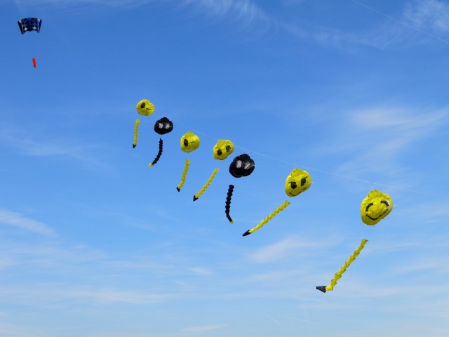 Smilies_Rattey003