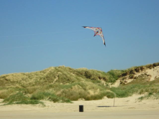 Drachen &raquo; meine_drachen &raquo; Lenkdrachen &raquo; Schoenflieger &raquo; Long_Dart_Magmum