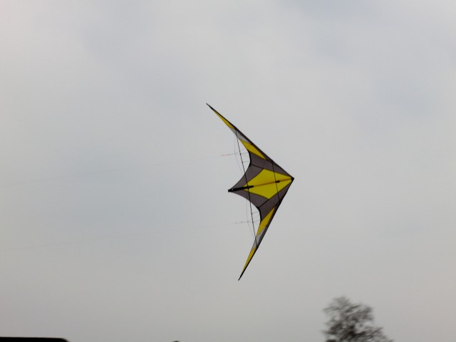 Drachen &raquo; meine_drachen &raquo; Lenkdrachen &raquo; Schoenflieger &raquo; Zodiac