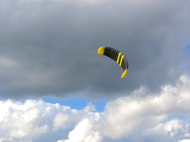 Lycos_Comp_PS_004