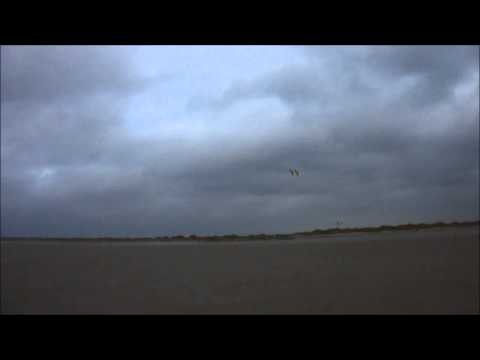 Drachen &raquo; meine_drachen &raquo; Lenkdrachen &raquo; Speed &raquo; delta-flizz