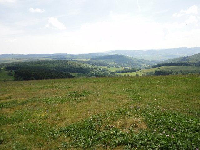 Rhoen_2011_020