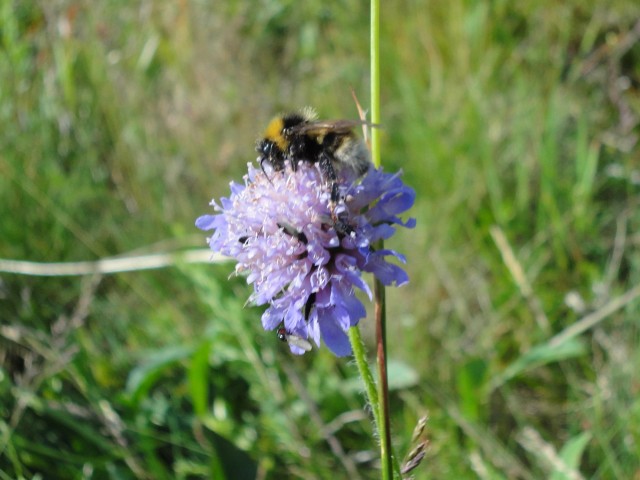 Rhoen_2011_135