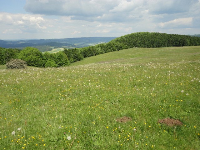 Rhoen_2012_043