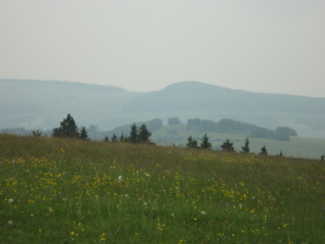 Rhoen_2012_084